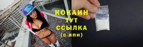 дживик Абаза