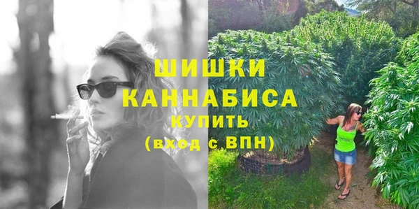 дживик Абаза