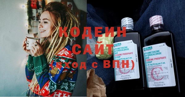 дживик Абаза