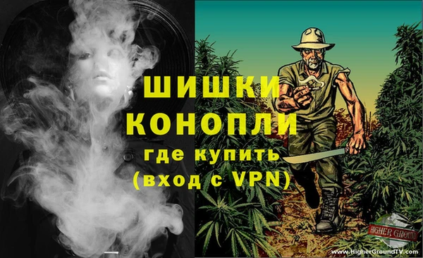дживик Абаза