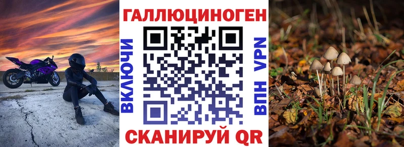 где можно купить наркотик Сорск дарк нет формула Галлюциногенные грибы Magic Shrooms